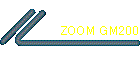 ZOOM GM200